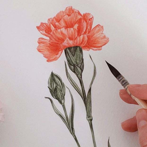 Joannie Houle stories by mimi & august