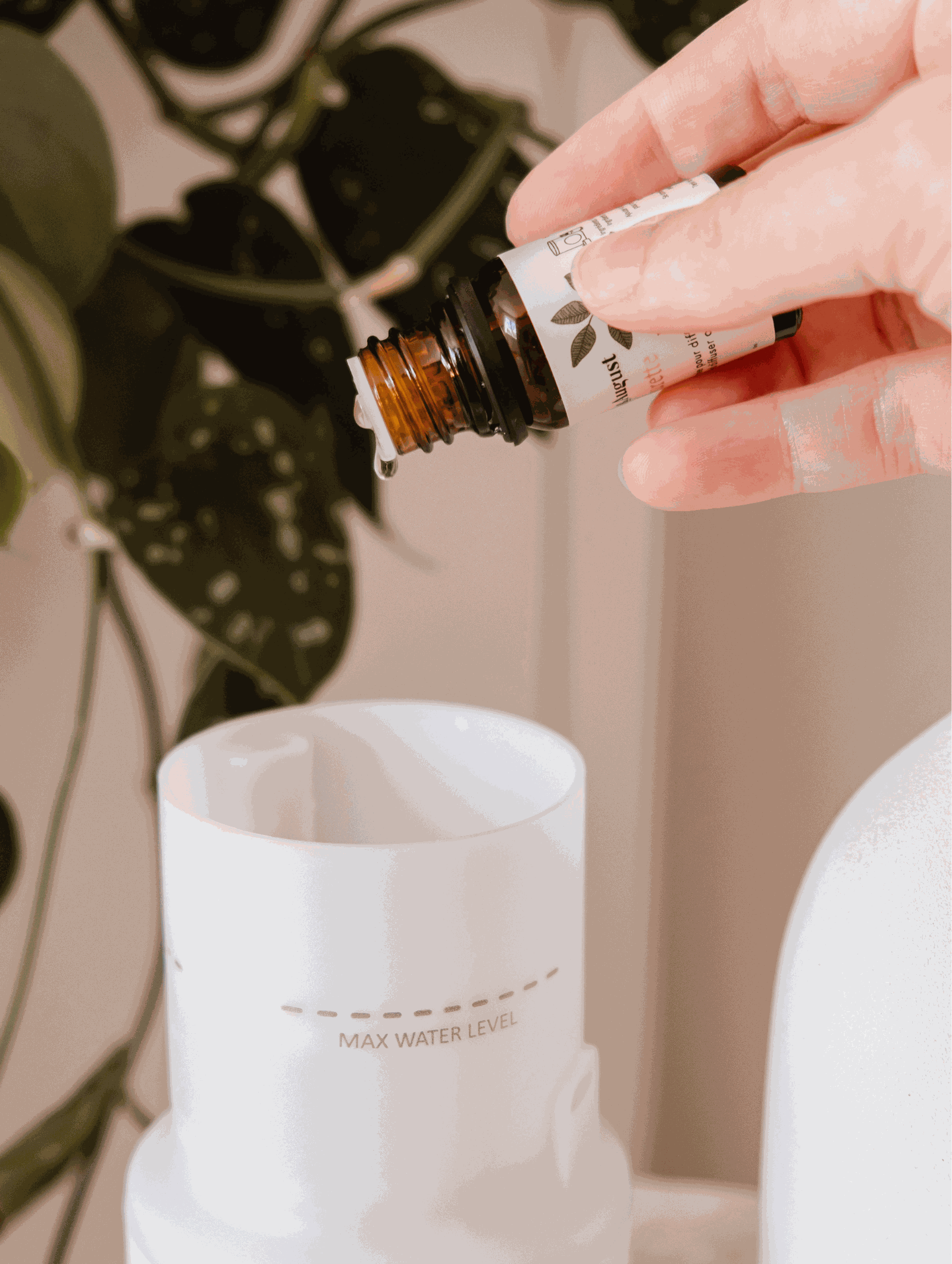 A hand adding Mimi & August Amalfi scented oil to a white diffuser, surrounded by tropical foliage.