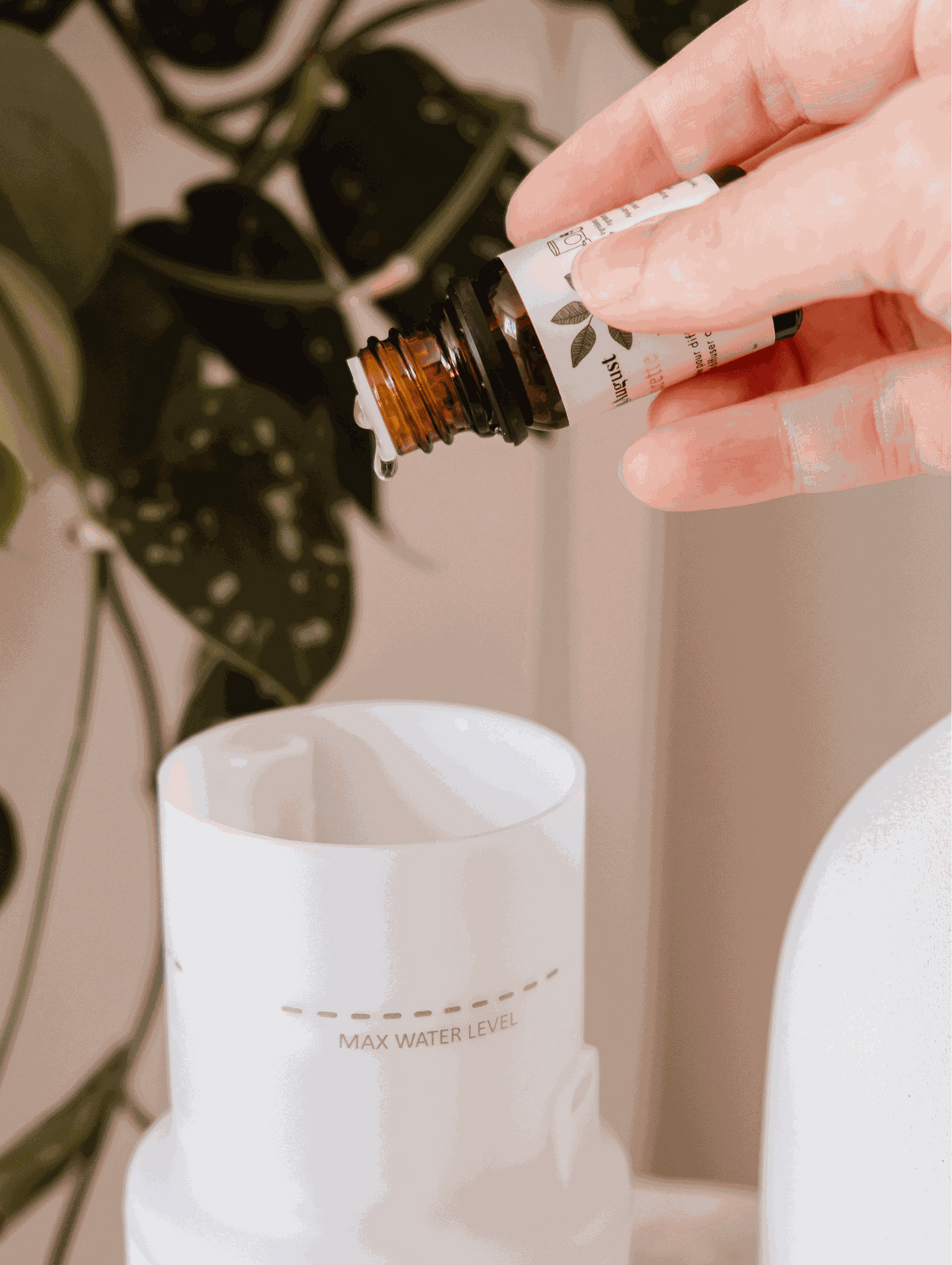 A hand adding Confetti mandarin essential oil to a white diffuser, with a potted plant in the background.