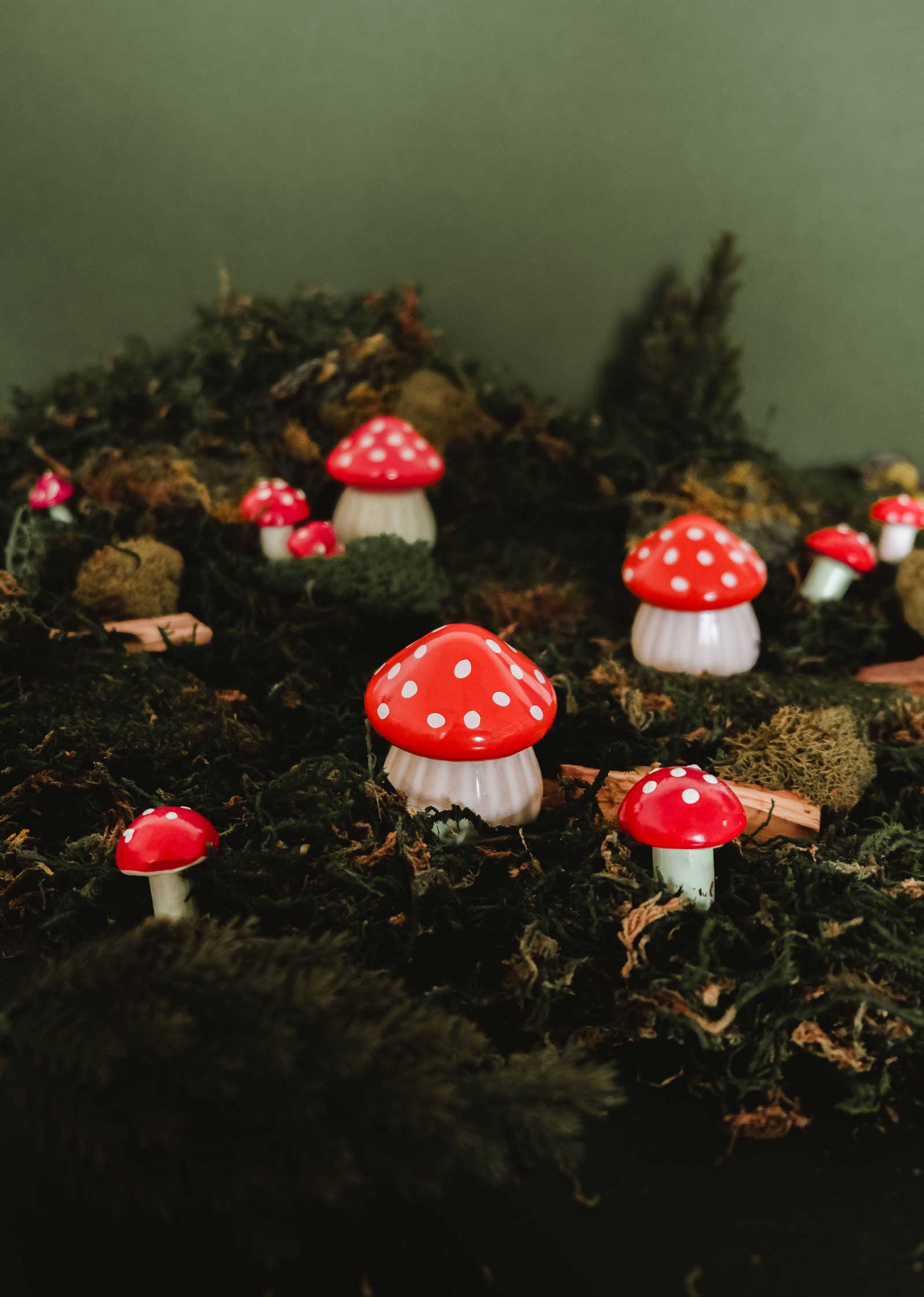 Several red and white spotted mushrooms, reminiscent of Mimi & August’s The Little Mushroom Candle, are growing among moss and foliage against a green background.
