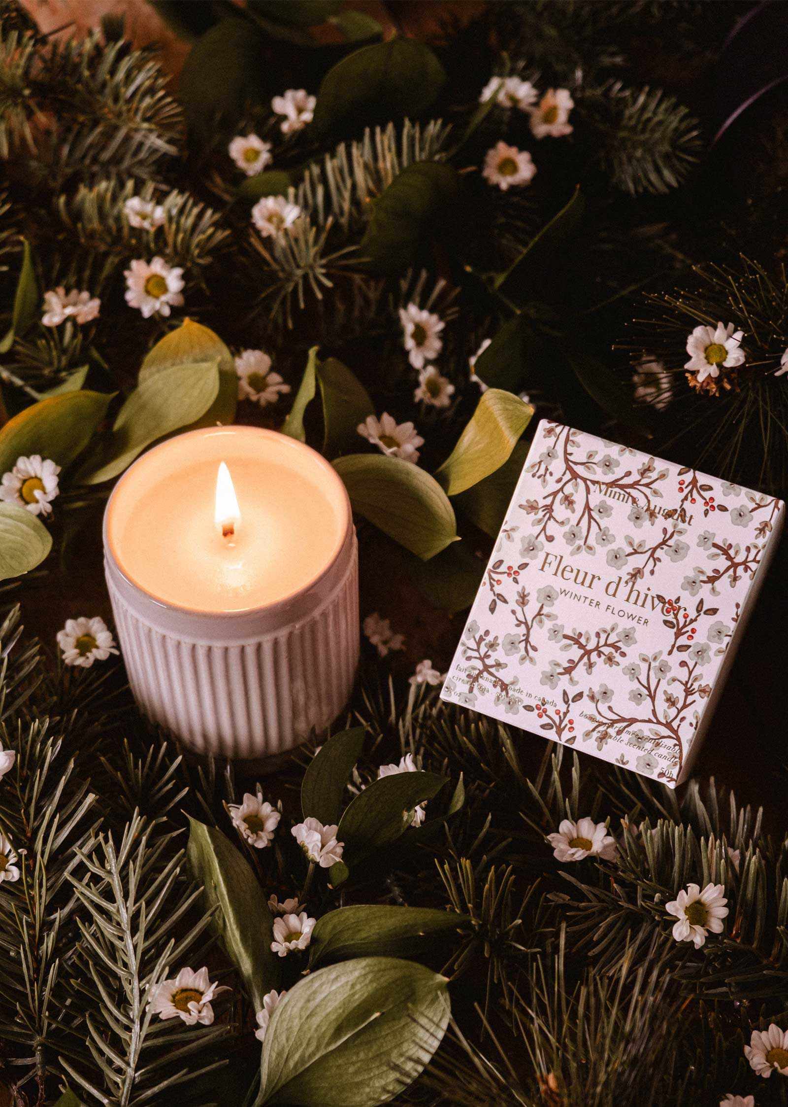 A lit Mimi & August Winter Flower - Christmas Candle in a white ribbed holder sits beside a "Fleur d’Hiver" box, surrounded by green pine branches and small white flowers.