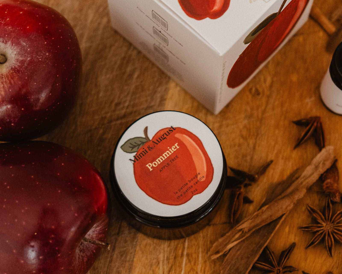 Bougie pomme cannelle 2 oz cire de soya parfum automnal pomme fraîche et cannelle