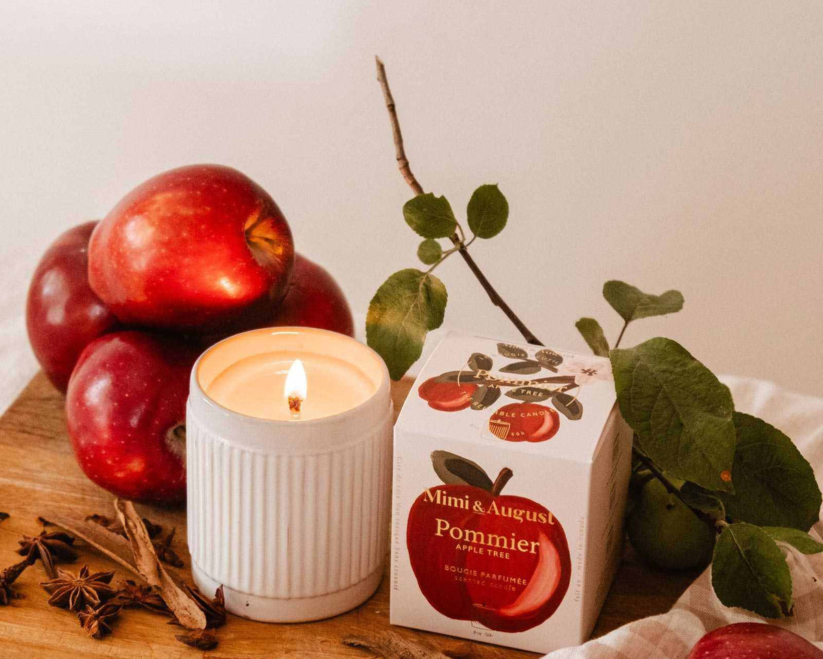 apple cinnamon soy candle in reusable ceramic cup