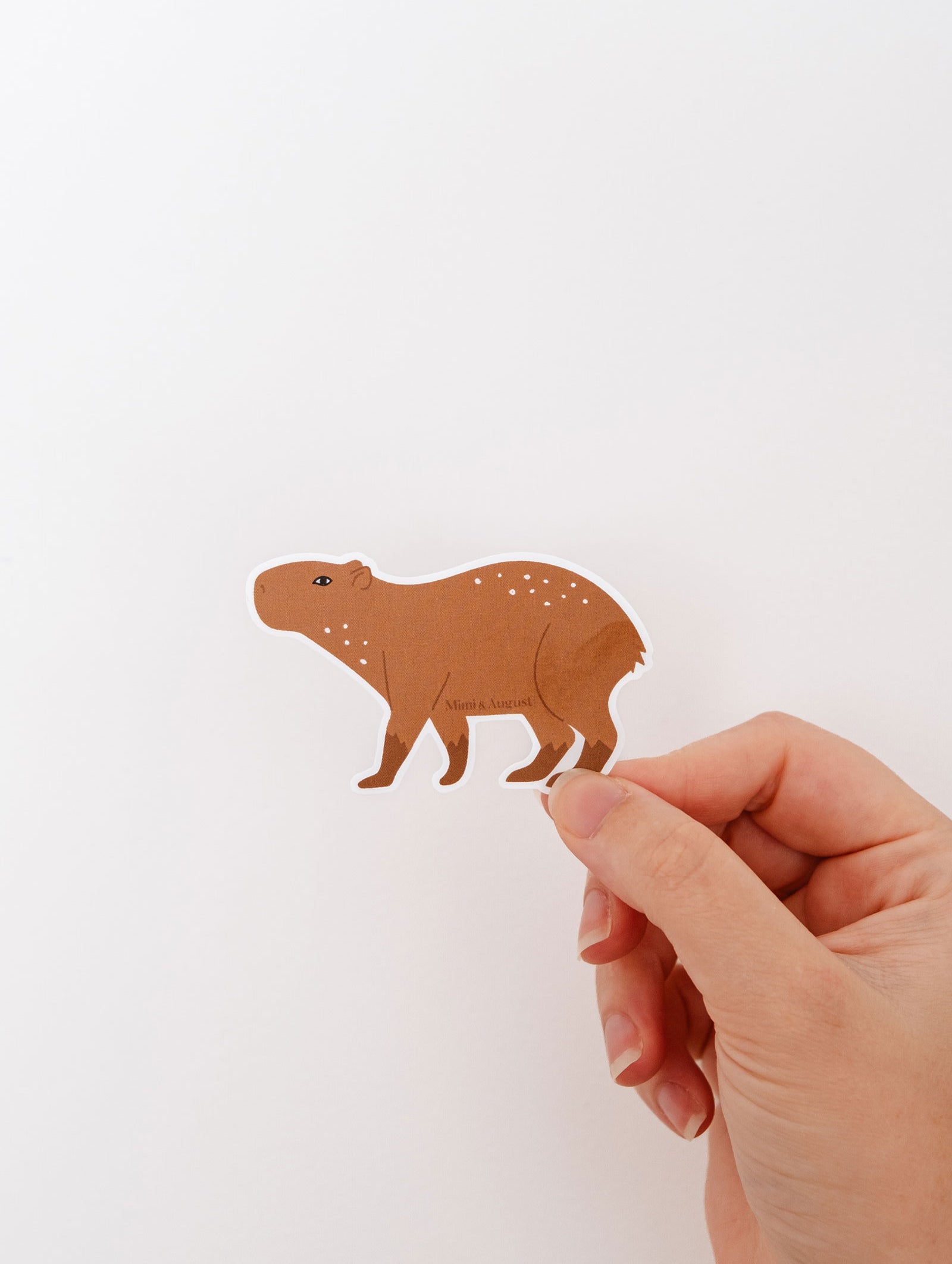 A person proudly displaying a waterproof vinyl sticker of a Mimi & August Capybara.