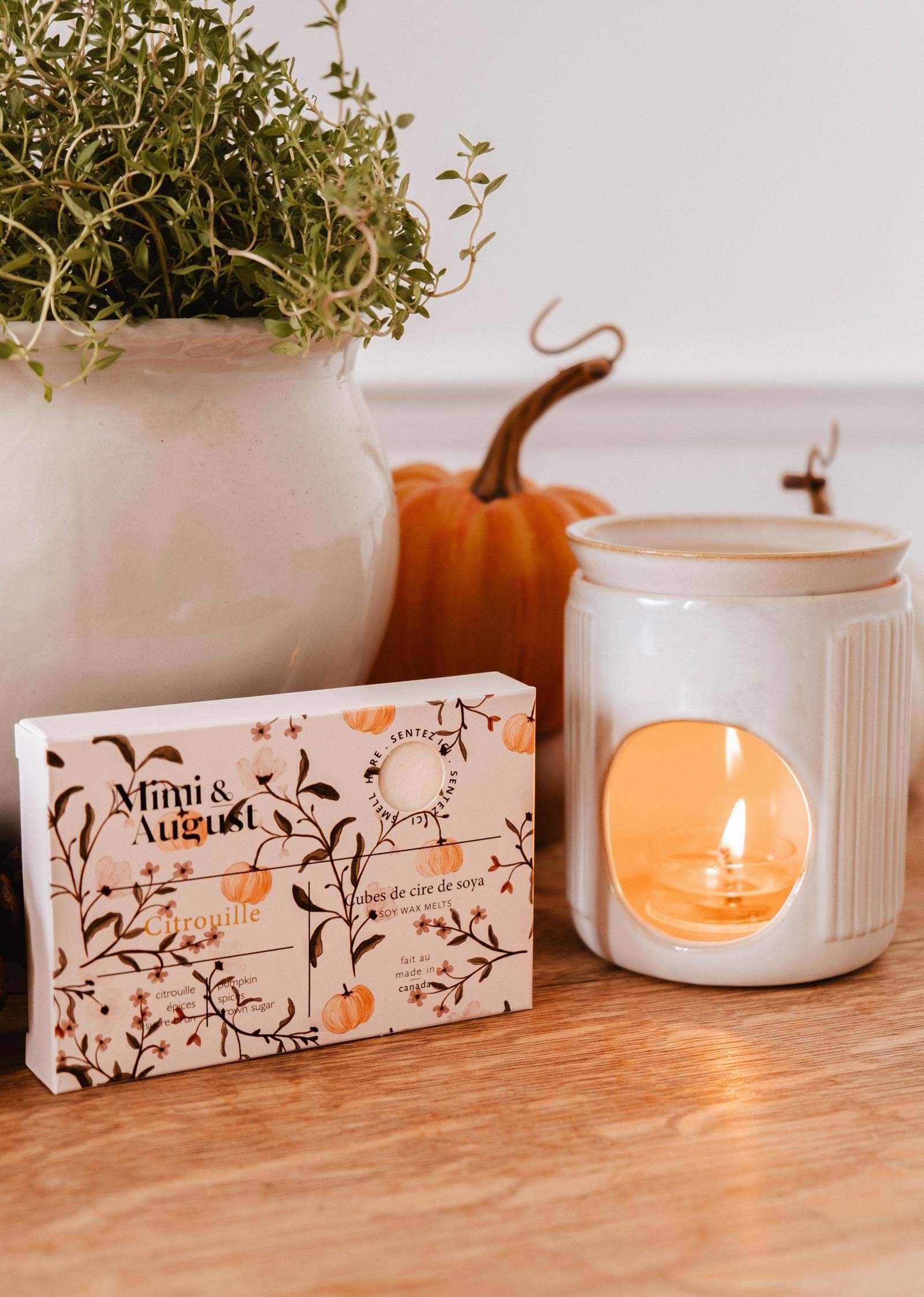 A ceramic candle warmer with a tealight sits beside Mimi & August Soy Wax Melts - Citrouille, a potted plant, and a pumpkin on wood—perfect for adding cozy autumn fragrance to your home.