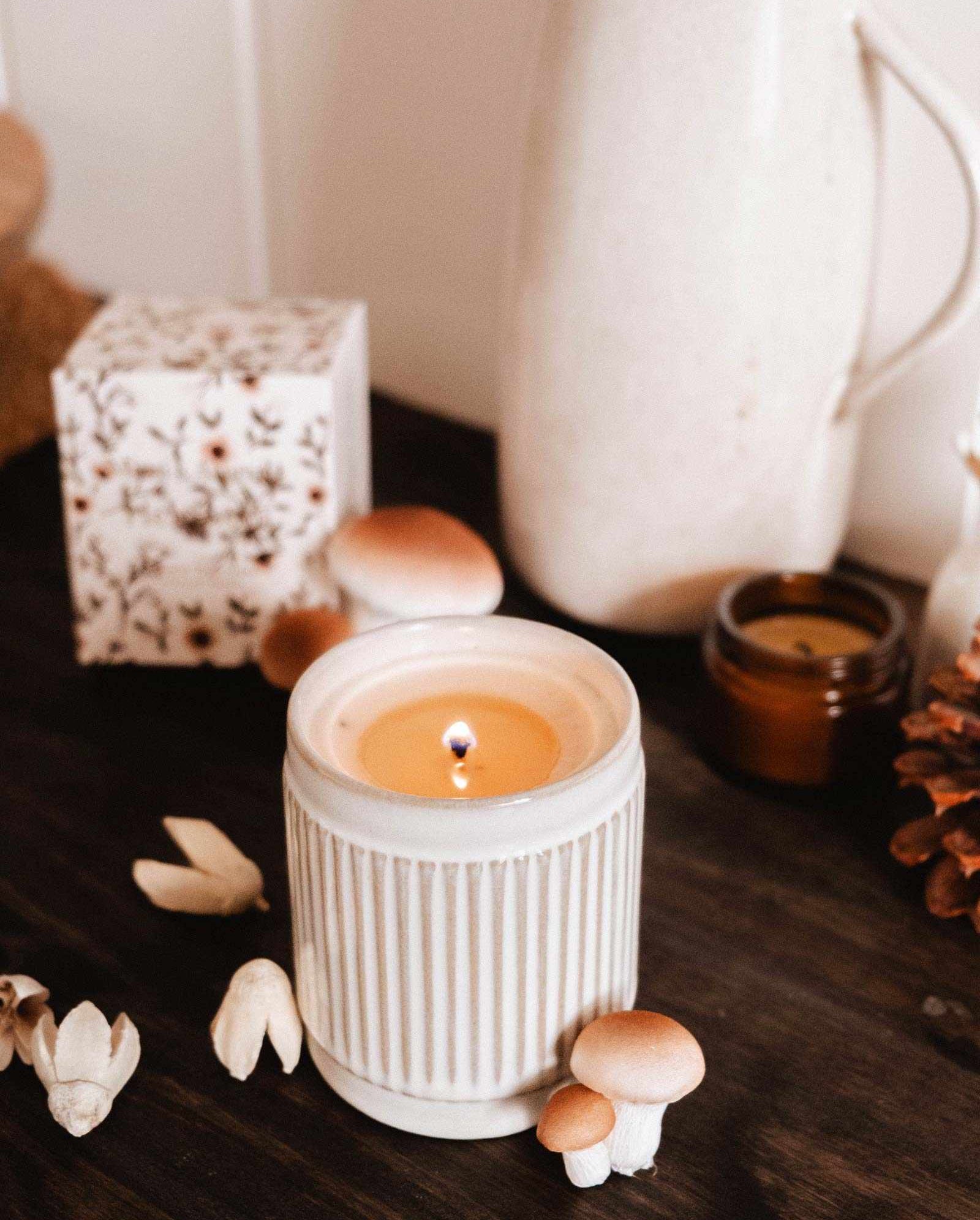 A lit Mimi & August Heirloom - Reusable Candle in a ribbed white jar sits on a dark wood surface, surrounded by small mushrooms, dried botanicals, a pinecone, a patterned box, and a white ceramic pitcher.