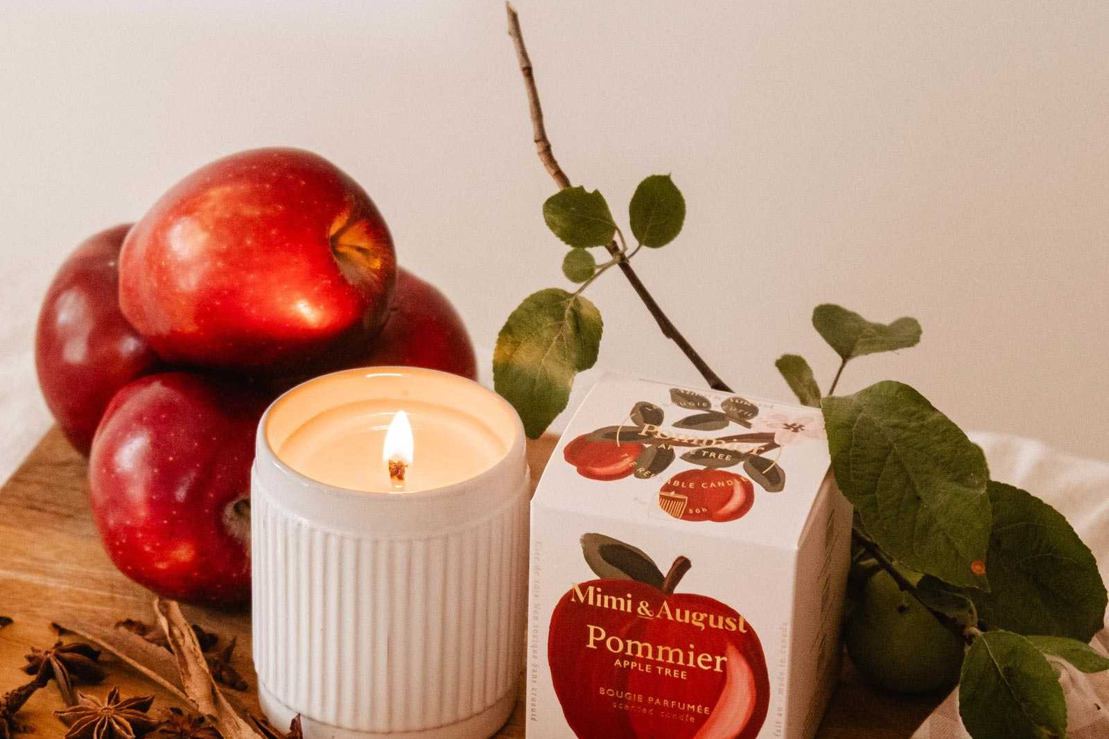 Bougie pomme cannelle en cire de soya naturelle dans récipient céramique réutilisable, ambiance automnale chaleureuse