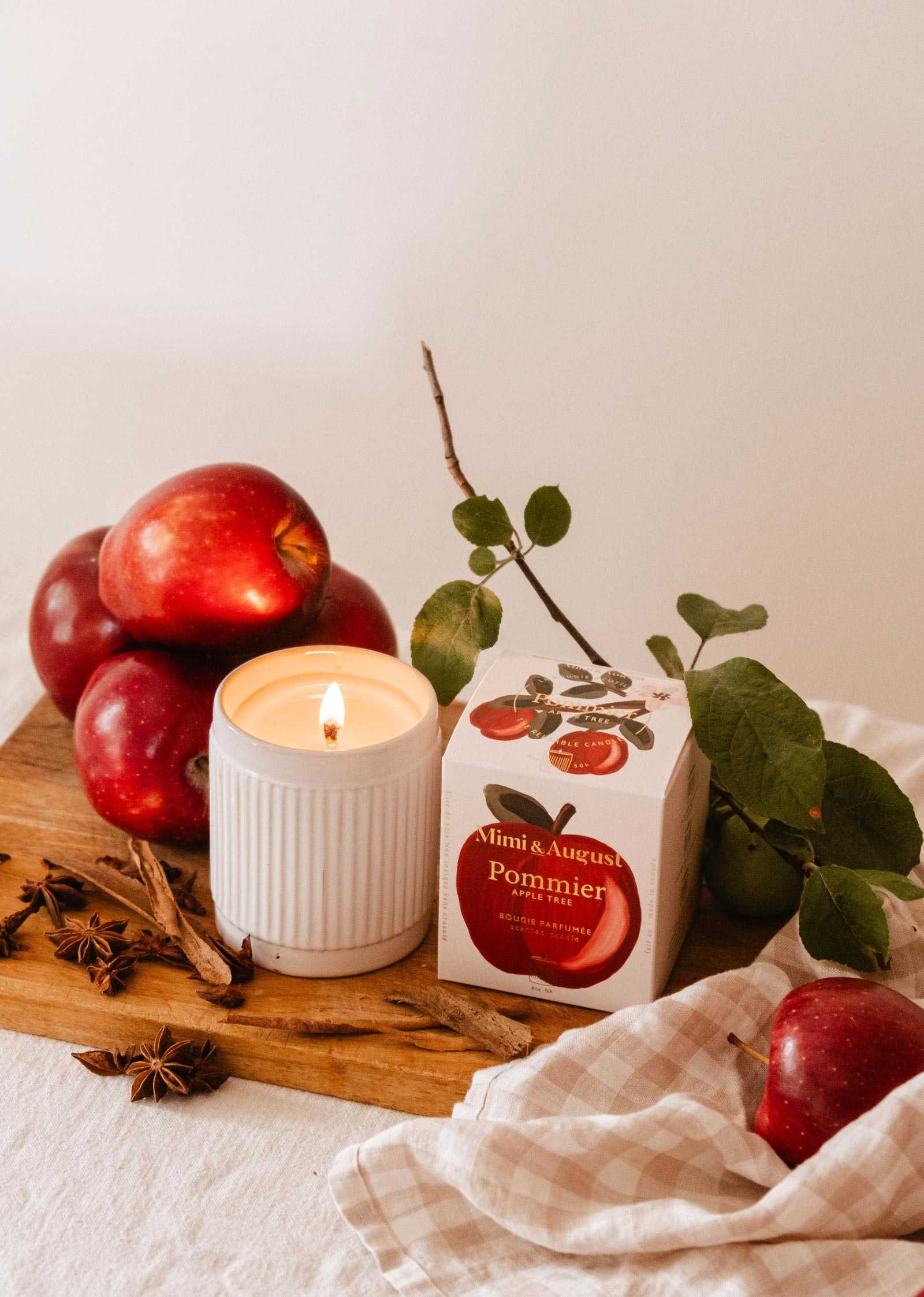 Reusable apple cinnamon candle in ceramic cup with autumnal scent