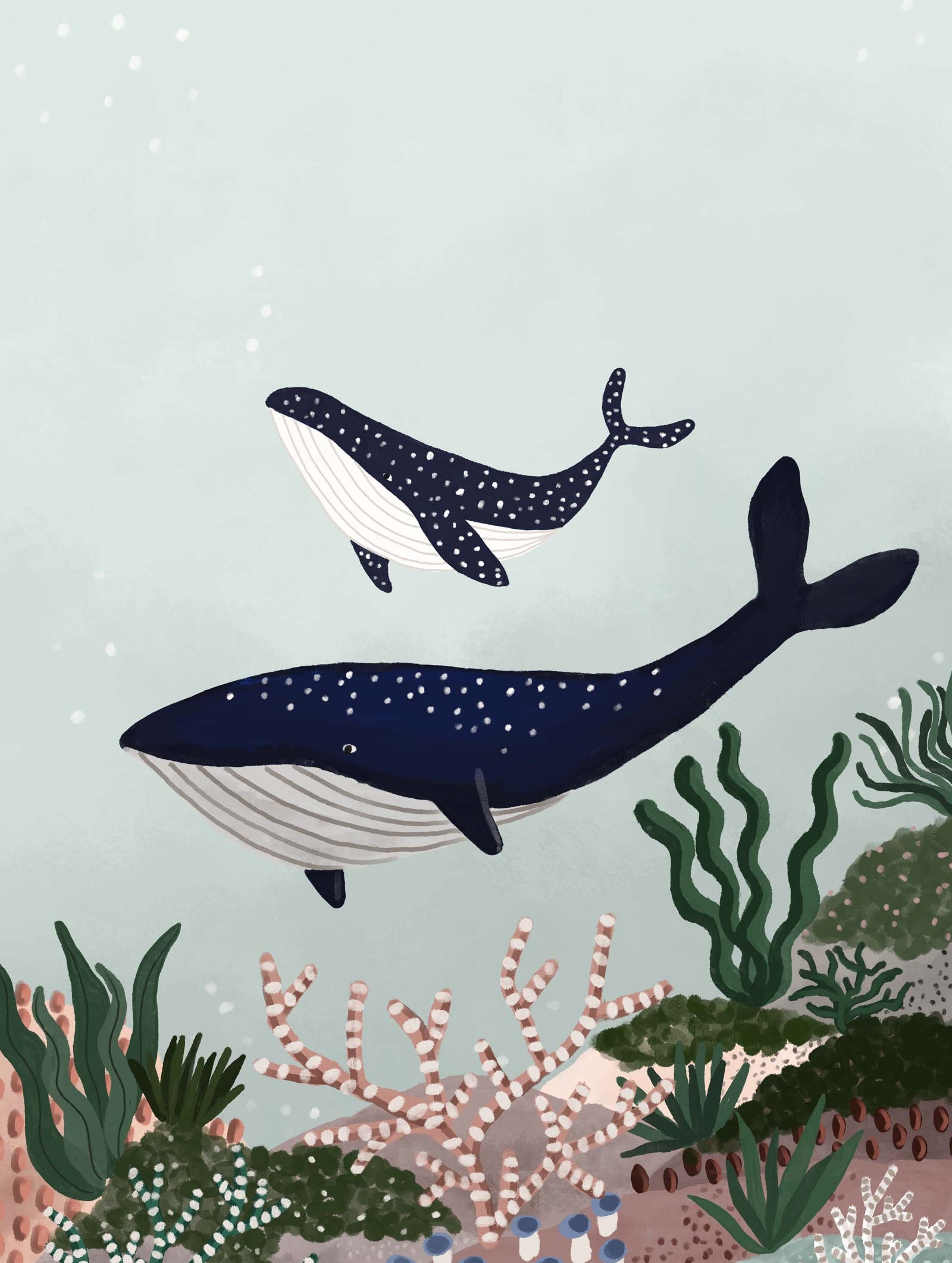 Two illustrated Whales Art Prints, including a mother whale, swimming underwater amongst coral and sea plants in a high-quality art print by Mimi & August.