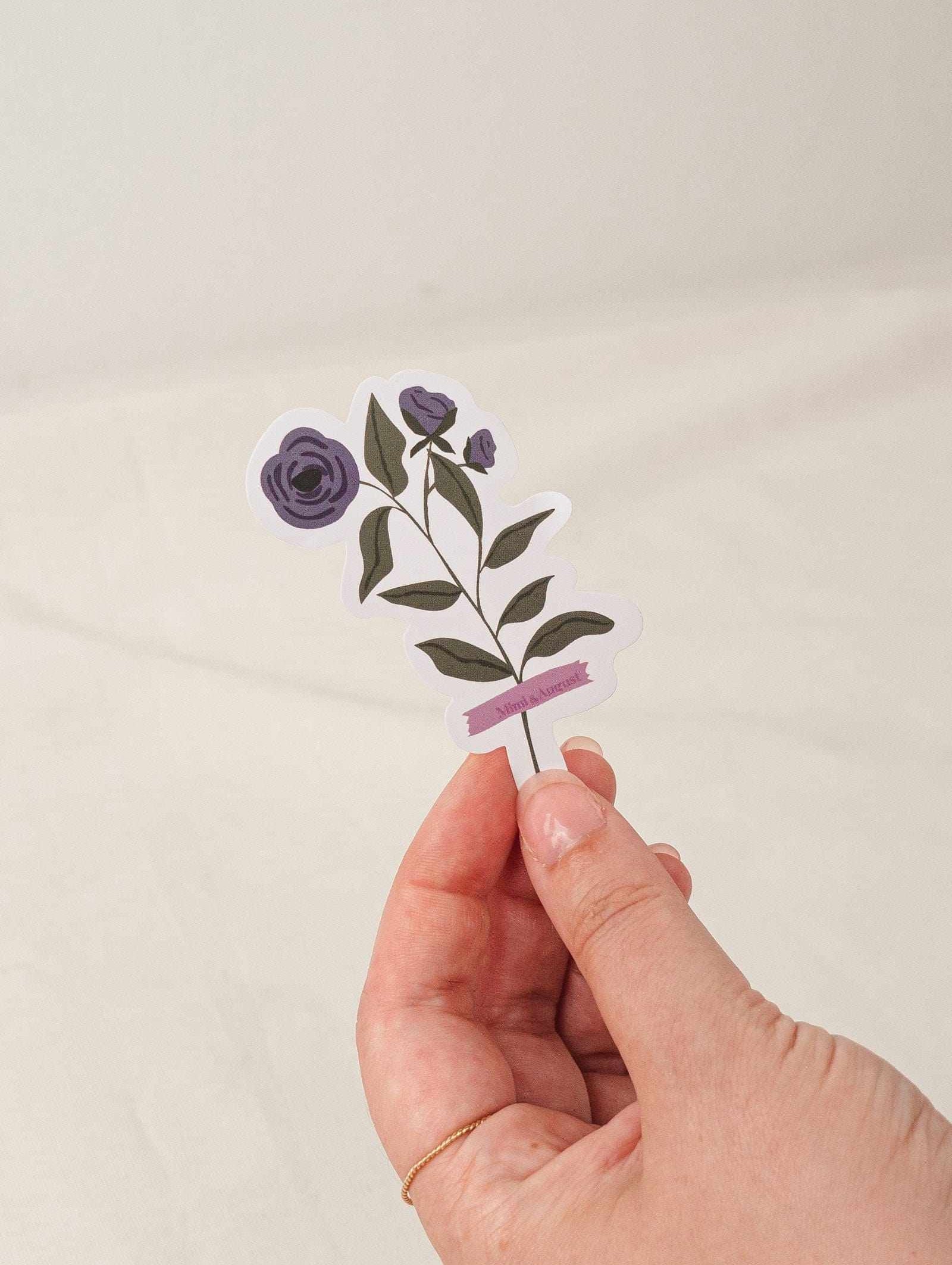 blue daisy flower