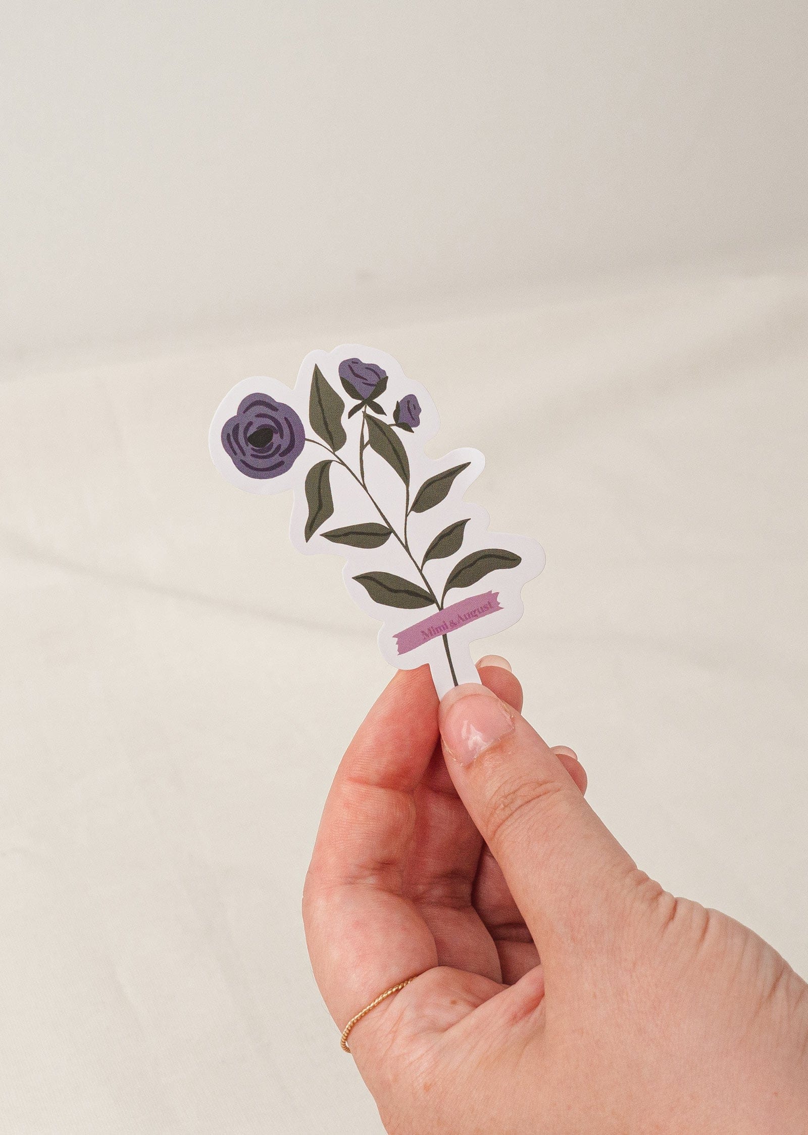 blue daisy flower