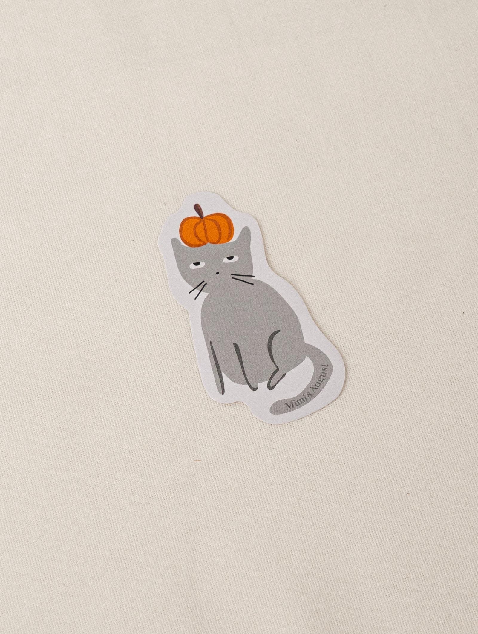 Grey cat with a pumpkin in the head