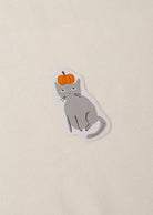 Grey cat with a pumpkin in the head