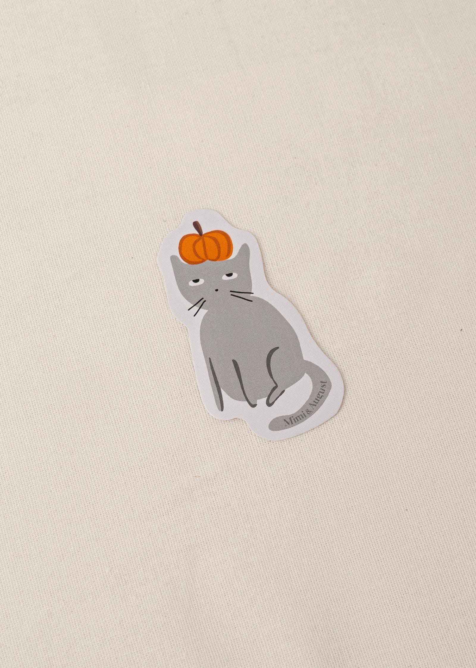 Grey cat with a pumpkin in the head