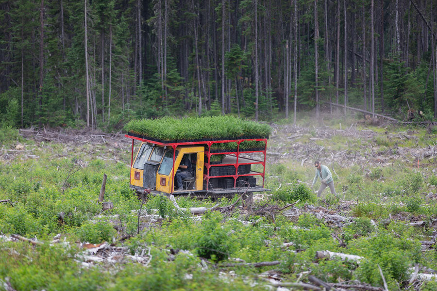 Nous plantons un arbre pour chaque sac fourre-tout vendu.