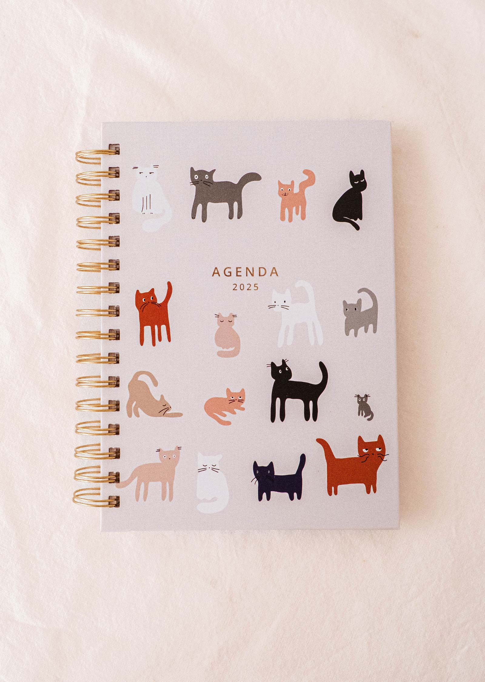 Les Chatons - Agenda 2025 de Mimi & August présente une reliure spirale et d'adorables illustrations de chats colorés sur sa couverture robuste, ainsi que des onglets mensuels pour une navigation sans effort.