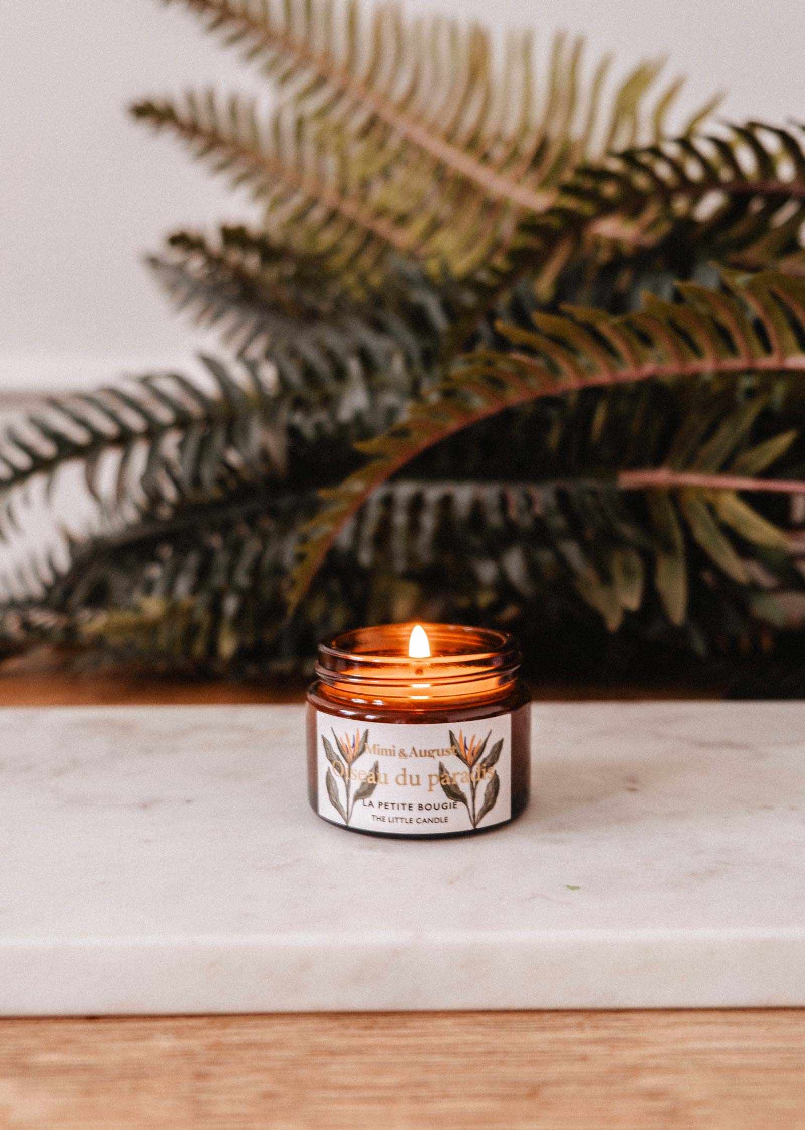The Oiseau du Paradis – 2 oz Soy Candle by Mimi & August, in a brown glass jar, is lit and sits on a white surface with green fern leaves in the background.