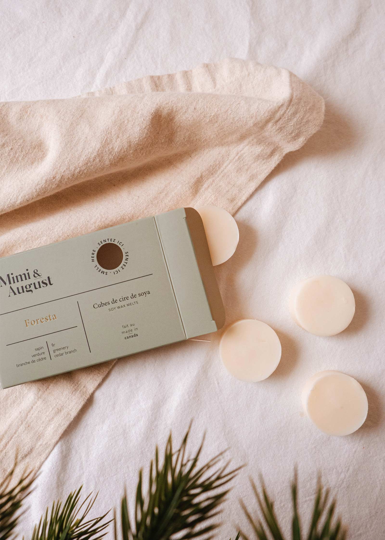 Une boîte ouverte de Mimi & August Soy Wax Melts - Foresta repose sur un tissu blanc, avec trois fondants à la cire naturelle placés à proximité. Des branches de conifères au premier plan complètent la scène, rehaussant le parfum enchanteur des bois de conifères qui imprègne l'air.