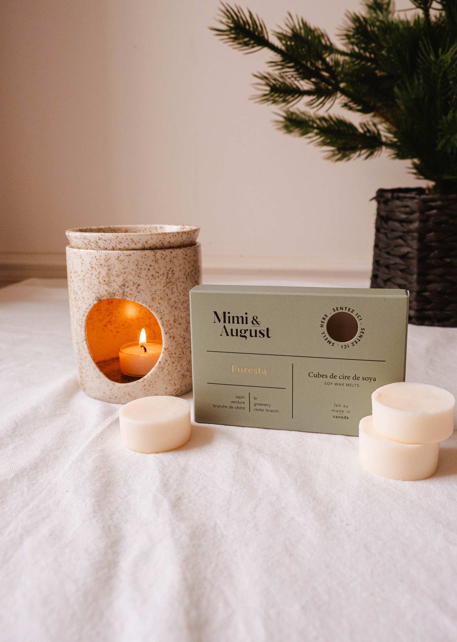 A ceramic candle holder with a lit candle sits beside Mimi & August's Soy Wax Melts - Foresta on a white surface. A small potted plant in the background enhances the soothing ambiance with its long-lasting fragrance.