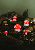 Several red and white spotted mushrooms, reminiscent of Mimi & August’s The Little Mushroom Candle, are growing among moss and foliage against a green background.