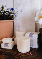 Trois Recharges de bougie Botanica de Mimi & August en cire de soya blanche et cannelée sont présentées sur une surface en bois avec des pétales, des plantes en pot et des boîtes de la marque — parfaites pour recharger ou découvrir leur parfum enveloppant.