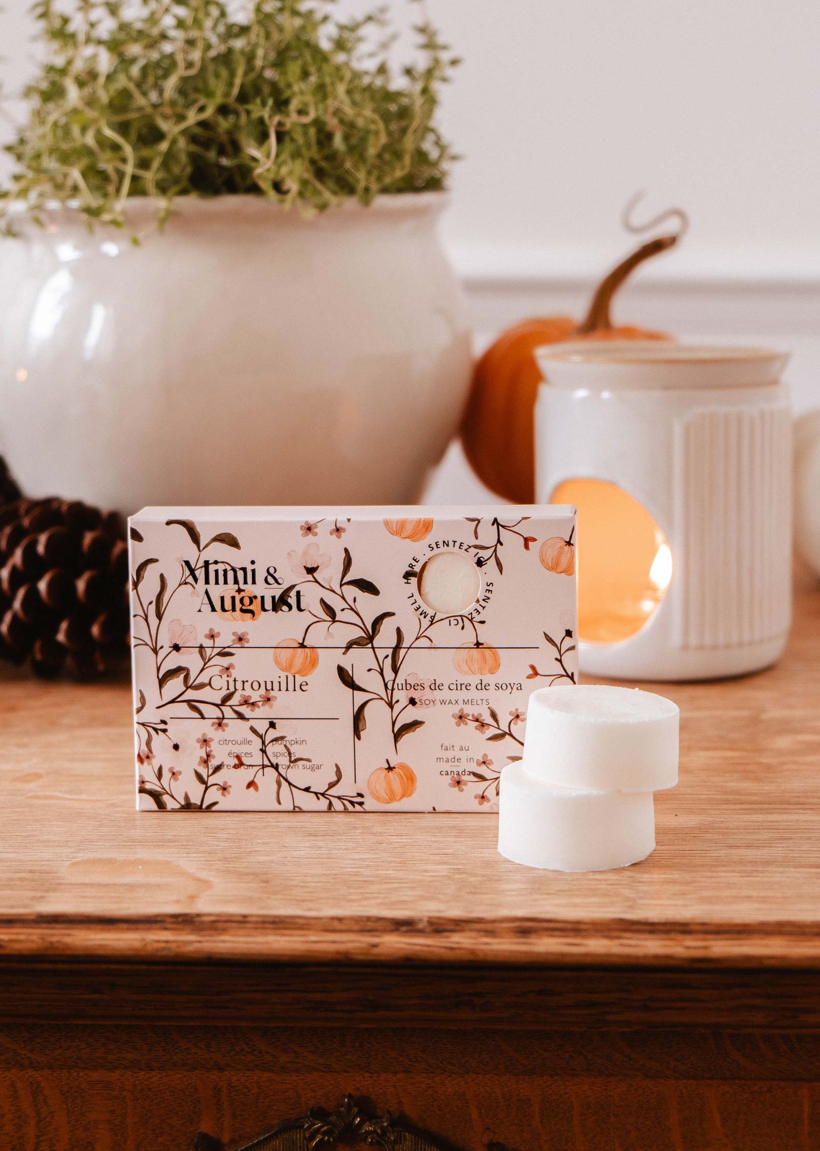 A box of Mimi & August Soy Wax Melts - Citrouille rests on a wooden surface beside three pumpkin spice melts, a white ceramic oil burner, a small pumpkin, and a potted plant—ideal for cozy autumn scents.