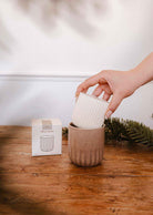 forest candle refill with fir needles cedarwood and moss scent