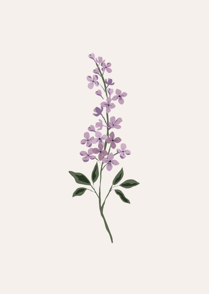 Illustration of a single stem of light purple flowers with small green leaves on a neutral background, perfect for nature lovers and art enthusiasts alike - the Lilas Flower Art Print from Mimi & August.