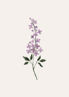 Lilas Flower Art Print featuring vibrant lilac flowers on recycled paper, elegant nature-inspired wall decor