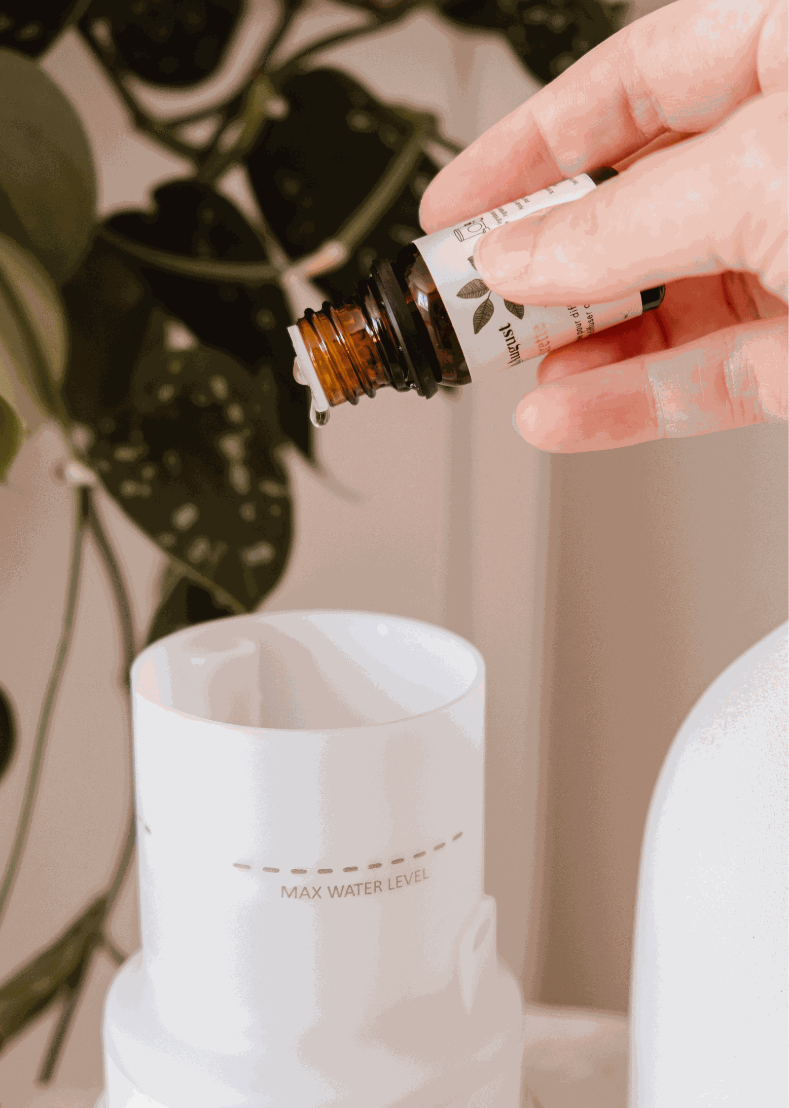 Une main ajoute de l'huile parfumée Confetti à la mandarine dans un diffuseur blanc, avec une plante en pot en arrière-plan.
