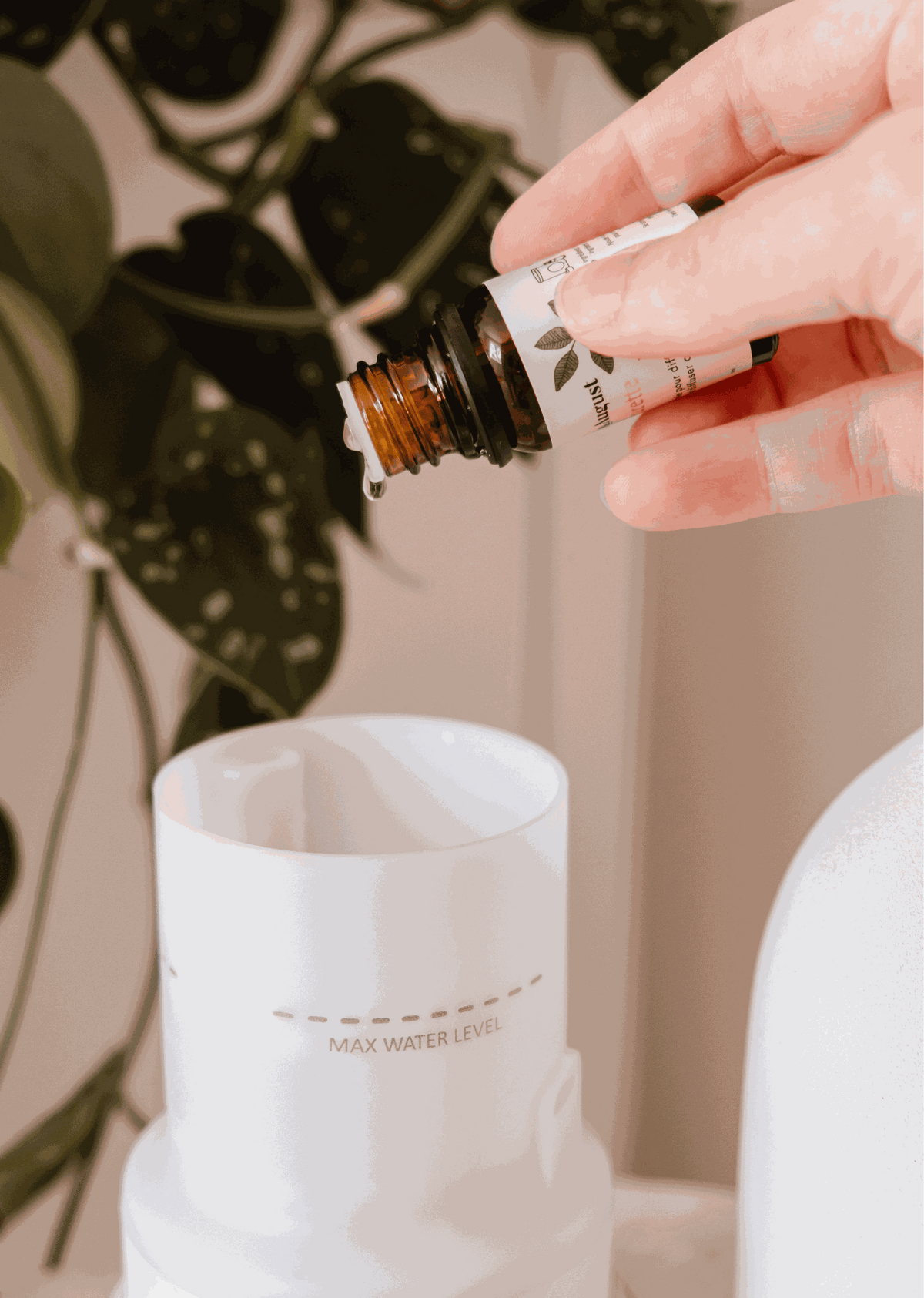 Une main ajoute de l'huile parfumée Confetti à la mandarine dans un diffuseur blanc, avec une plante en pot en arrière-plan.